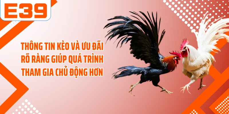 Thông tin kèo và ưu đãi rõ ràng giúp quá trình tham gia chủ động hơn